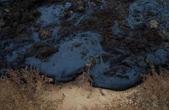 09fa513d269759ee50cb7916520ef9136f22df4b 09fa513d269759ee50cb7916520ef9136f22df4b