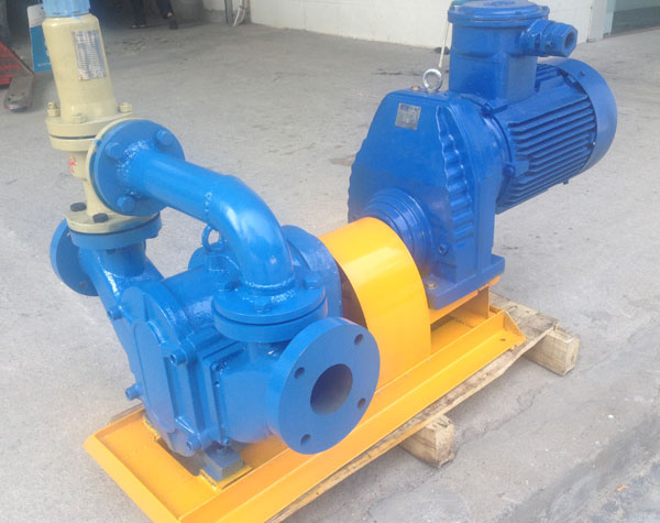 旋轉凸輪泵有哪些產品特點?工作性能怎么樣?